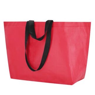 Bolsa Torvik