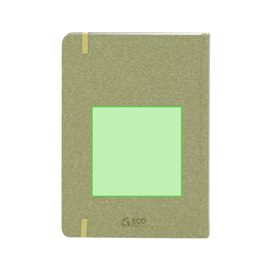 Área 2